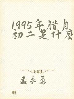 1995年腊月初二是什么命