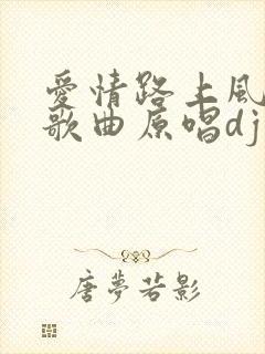 爱情路上风雨多歌曲原唱dj