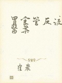 胃食管反流中医医案