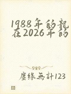 1988年的龙在2026年的运势怎么样