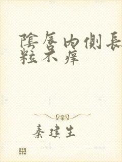 阴唇内侧长小颗粒不痒