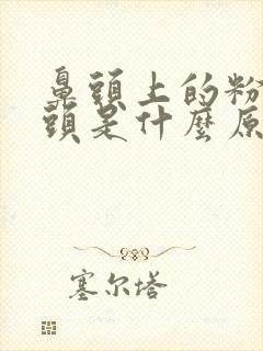 鼻头上的粉刺黑头是什么原因