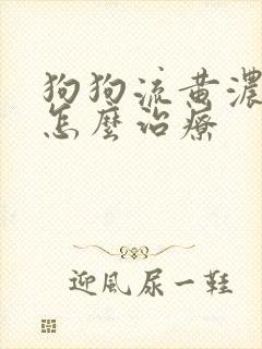 狗狗流黄浓鼻涕怎么治疗封面