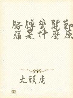 胳膊弯关节处筋痛是什么原因封面