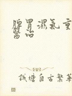 脾胃湿气重怎样医治