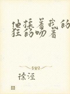 他揉着我的胸疯狂的吻着