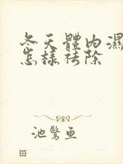 冬天体内湿气重怎样祛除封面