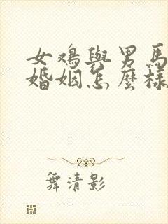 女鸡与男马相配婚姻怎么样