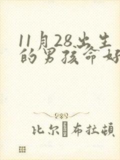 11月28出生的男孩命好吗