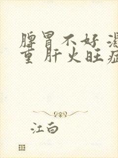 脾胃不好 湿气重 肝火旺症状