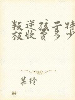 叛逆孩子特训学校收费多少