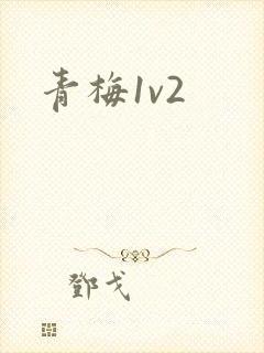 青梅1v2