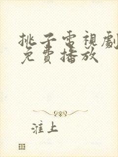 挑子电视剧全集免费播放封面