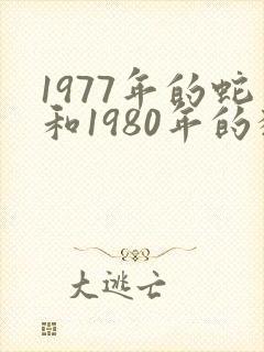 1977年的蛇和1980年的猴相配吗