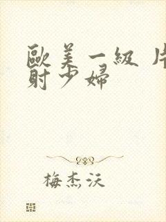 欧美一级 片内射少妇