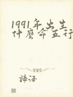 1991年出生什么命五行属性