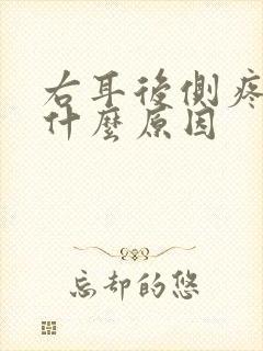 右耳后侧疼痛是什么原因