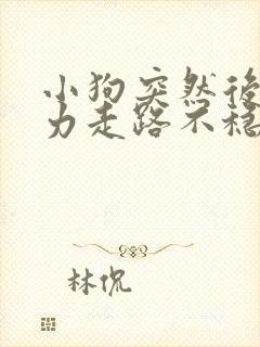 小狗突然后腿无力走路不稳