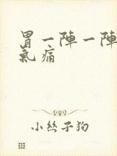 胃一阵一阵的胀气痛封面