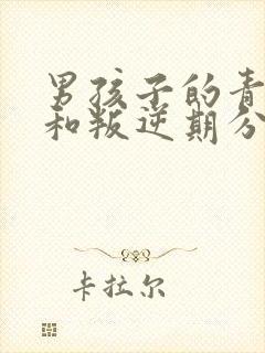 男孩子的青春期和叛逆期分别是什么时候