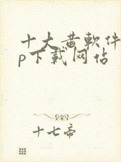 十大黄软件app下载网站封面