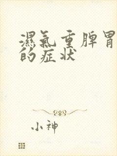 湿气重脾胃不好的症状