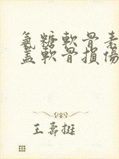 氨糖软骨素对膝盖软骨损伤有效吗封面