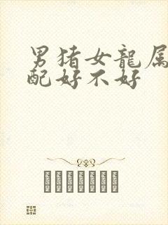 男猪女龙属相婚配好不好