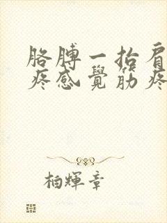 胳膊一抬肩膀就疼感觉筋疼封面