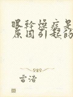 眼干燥症是什么原因引起的封面