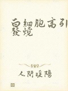 白细胞高引起的发烧