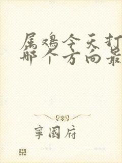 属鸡今天打牌坐哪个方向最好