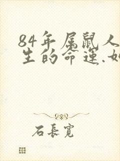 84年属鼠人一生的命运.如何