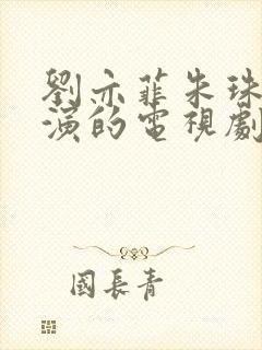 刘亦菲朱珠万茜演的电视剧