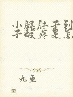 小腿肚子到脚脖子酸疼是怎么回事