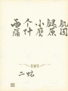 两个小腿肌肉酸痛什么原因封面