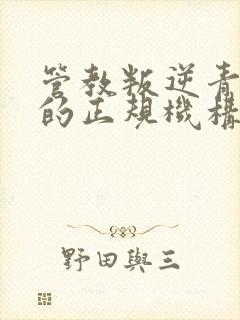 管教叛逆青少年的正规机构