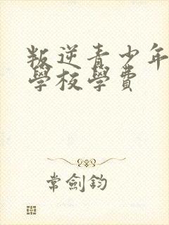 叛逆青少年特训学校学费