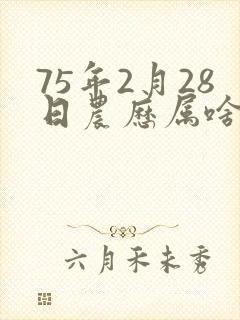 75年2月28日农历属啥命