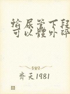 输尿管下段结石可以体外碎石吗?