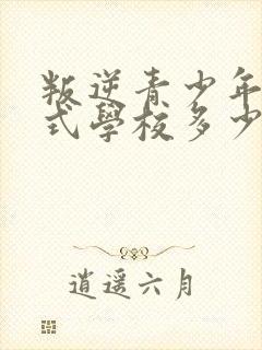 叛逆青少年封闭式学校多少钱