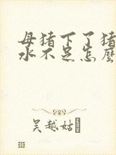 母猪下了猪仔奶水不足怎么办封面