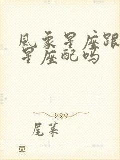 风象星座跟火象星座配吗