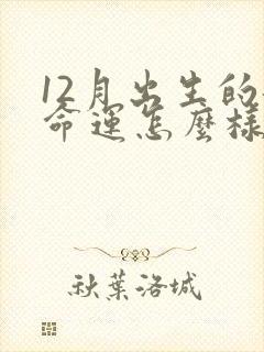 12月出生的龙命运怎么样