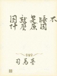 困就是睡不着是什么原因