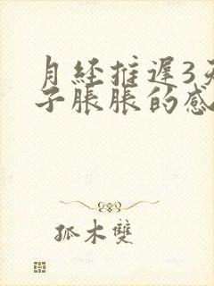 月经推迟3天肚子胀胀的感觉乳房胀痛