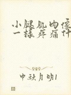 小腿肌肉像抽筋一样疼痛什么原因