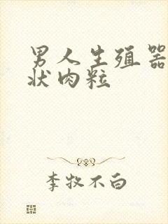 男人生殖器乳头状肉粒