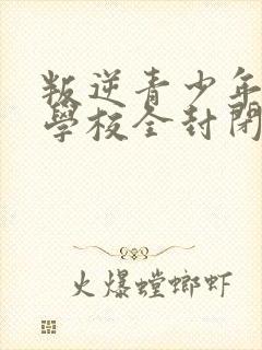 叛逆青少年特训学校全封闭封面