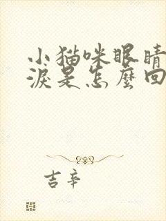 小猫咪眼睛流眼泪是怎么回事